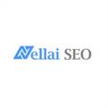 Nellaiseo's Insights: Forecasting SEO Trends and Predictions for 2024